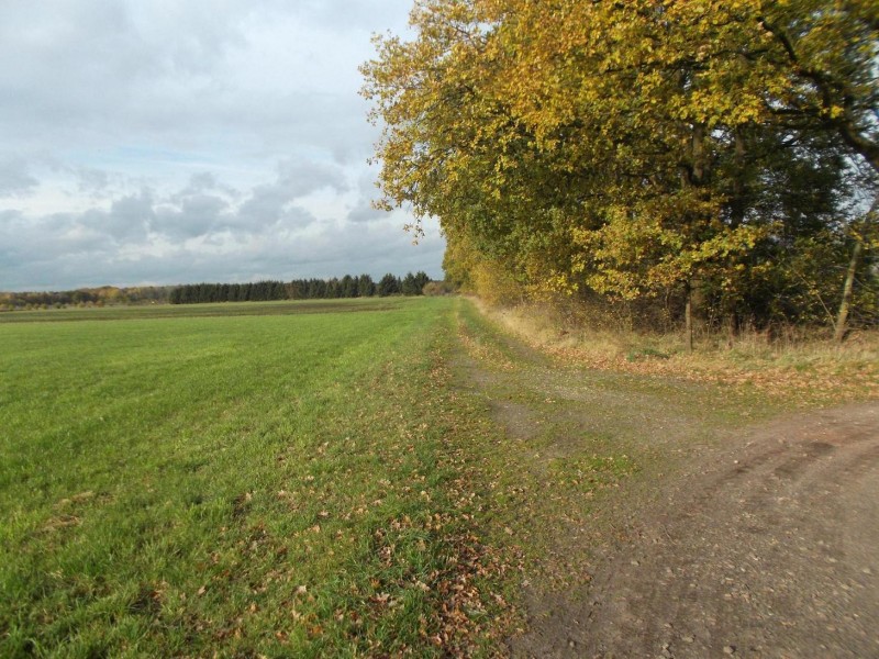 4. einde oud stukje Weerseloseweg, misschien hier vroegere lokatie Hotel Twenthe.JPG
