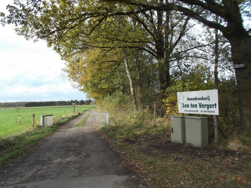 Weerseloseweg 355.JPG