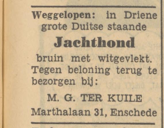 Marthalaan 31 M.G. ter Kuile advertentie Tubantia 8-9-1950.jpg