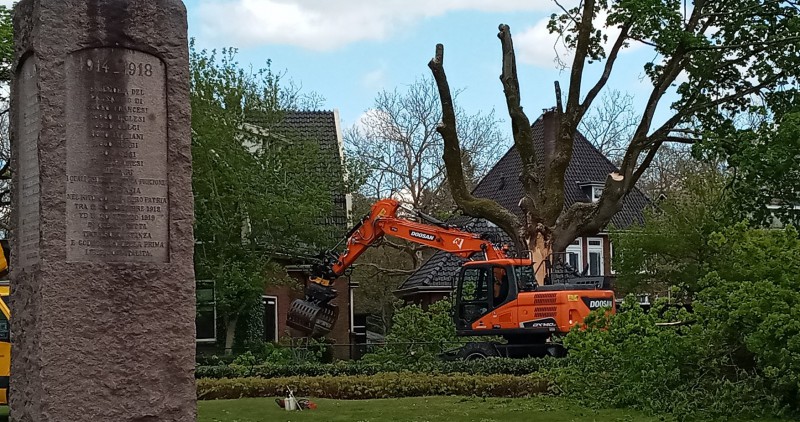 Goolkatenweg, hoek Cort van de Lindenlaan -Gesneuvelde boom 1.jpg