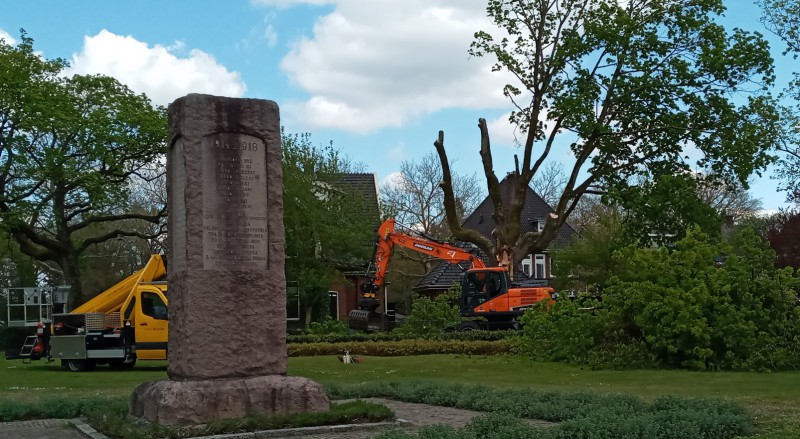 Goolkatenweg, hoek Cort van de Lindenlaan -Gesneuvelde boom 2.jpg