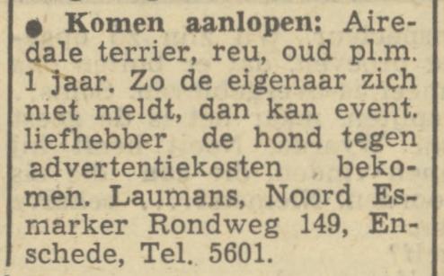 Noord Esmarkerrondweg 149 Laumans advertentie Tubantia 19-1-1950.jpg