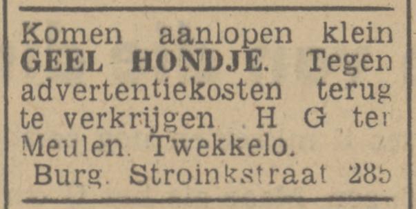 Burgemeester Stroinkstraat 285 H.G. ter Meulen advertentie Tubantia 31-1-1948.jpg