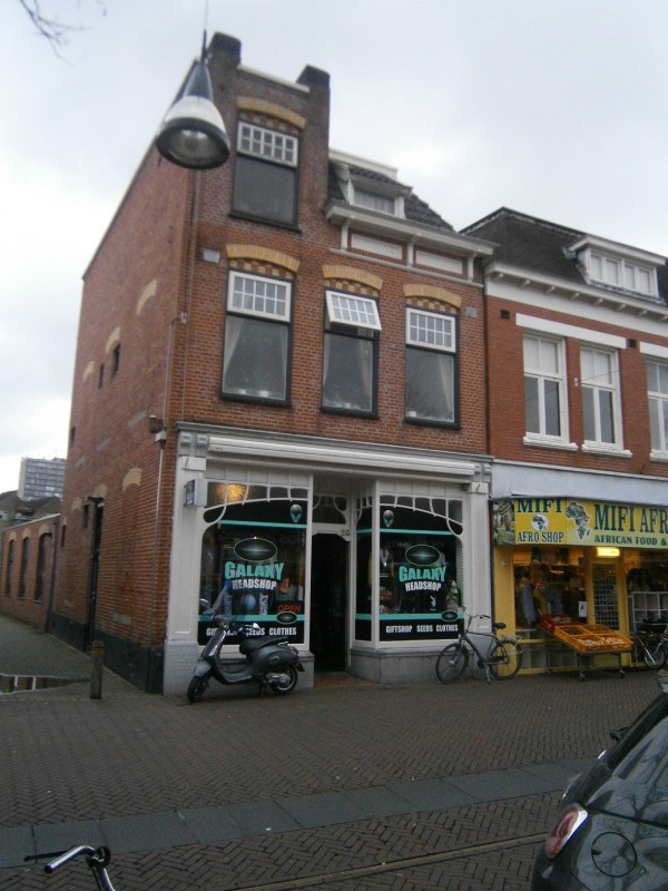 De Heurne 26 vroeger Oldenzaalsestraat 26 gemeentelijk monument.JPG