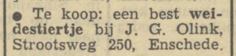 Strootsweg 250 J.G. Olink advertentie Tubantia 20-5-1950.jpg