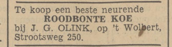 Strootsweg 250 boerderij 't Wolbert J.G. Olink advertentie Tubantia 20-7-1938.jpg