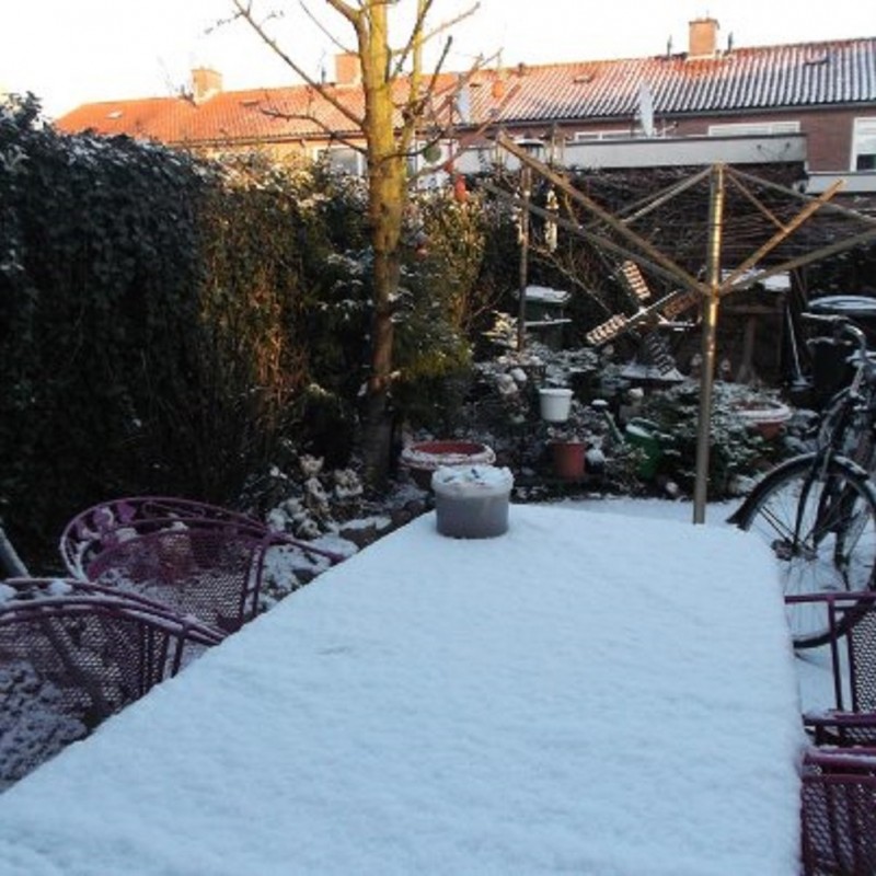 sneeuw 06-12-2012.jpg
