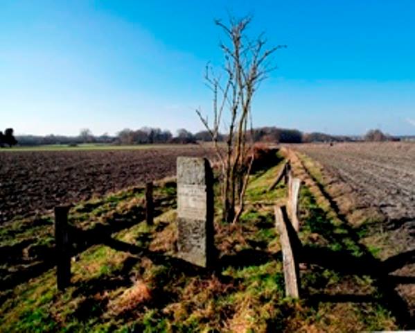 Usseleres Het Mauritsbeumke of Vlierbosje . Prins Maurits zou hier in 1597 geweest zijn. Het vlierbosje is een restant van een bomengroep, “boaken”, die in voorchristelijke tijden een heilige plaats vormde.jpg