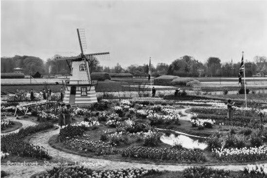 De showtuinen van Henry Roozen rond 1960 later Linnaeushof Bennebroek.jpg