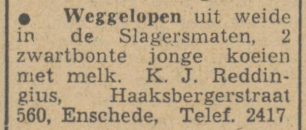 Haaksbergerstraat 560 K.J. Reddingius advertentie Tubantia 16-6-1948.jpg