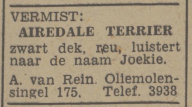 Oliemolensingel 175 A, van Rein advertentie Tubantia 31-5-1948.jpg