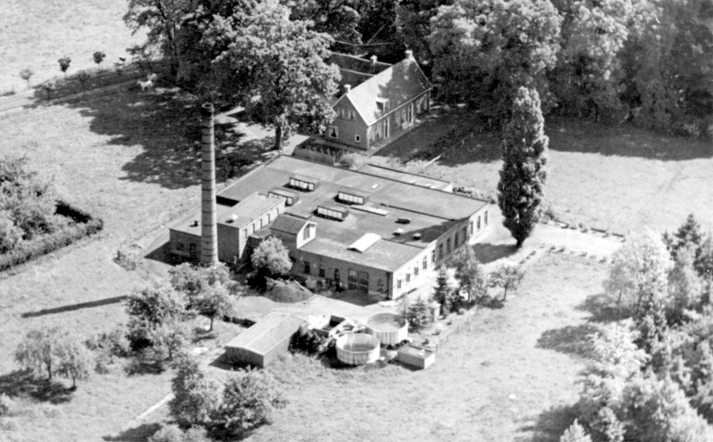 Deurningerstraat 441-459 rechts Bolhaarslaan Wasserij De Bolhaar 1950.jpg