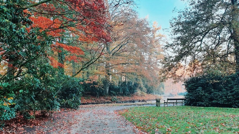 Abraham Ledeboerpark herfstfoto.jpg