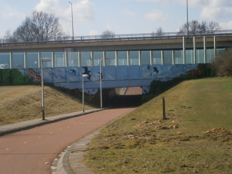Oude Dijk fietstunnel onder Usselerrondweg en A35 muurschildering.JPG