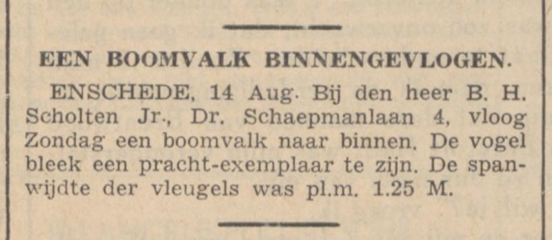 Dr. Schaepmanlaan 4 B.H. Scholten krantenbericht De Standaard 15-8-1939.jpg