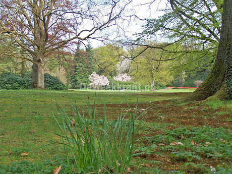 Het Ledeboerpark.