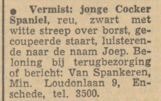 Minister Loudonlaan 9 Van Spankeren advertentie Tubantia 8-12-1951.jpg