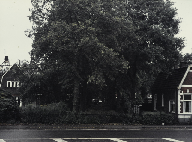Hengelosestraat 238 Zicht op laantje naar 't Roessingh, met links de afgebrande villa van Zeggelt 27-9-1973.jpeg
