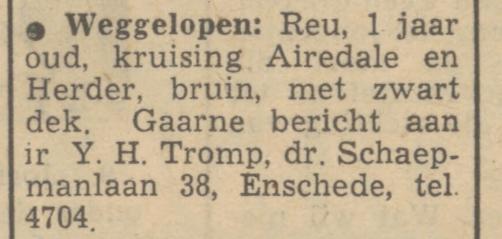 Dr. Schaepmanlaan 38 Ir. Y.H. Tromp c.i. advertentie Tubantia 7-9-1950.jpg