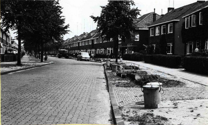 Elferinksweg 111-113 Richting Pathmossingel, bomen gekapt t.b.v. aanleg parkeerhavens 18-6-1964.jpg