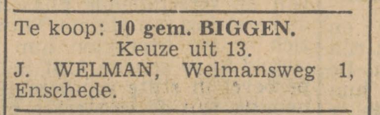 Welmansweg 1 Lonneker J. Welman advertentie Tubantia 24-7-1940.jpg