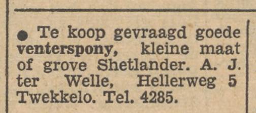 Hellerweg 5 Twekkelo A.J. ter Welle advertentie Tubantia 23-3-1955.jpg