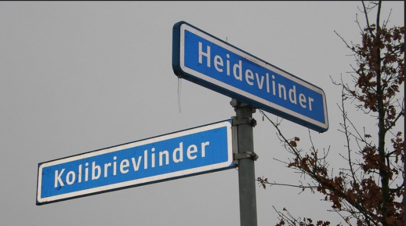 Heidevlinder straatnaambord.jpg