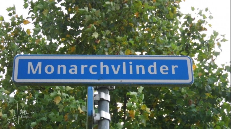 Monarchvlinder straatnaambord.jpg