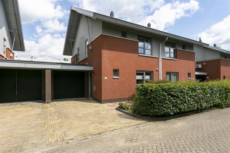 Kopervlinder 16.jpg