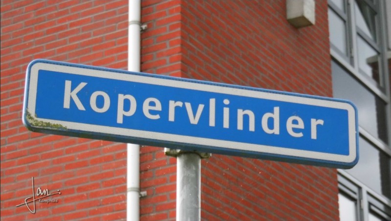 Kopervlinder straatnaambord.jpg