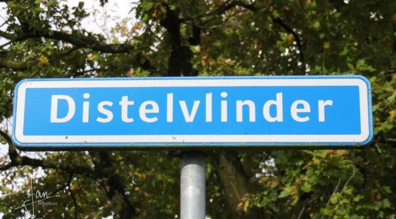 Distelvlinder straatnaambord.jpg