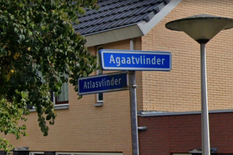 Agaatvlinder straatnaambord.jpg