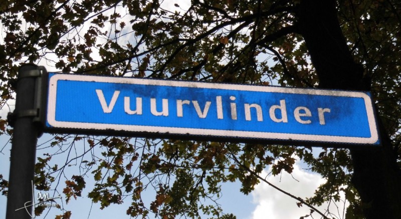 Vuurvlinder straatnaambord.jpg