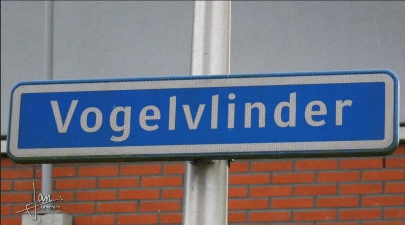 Vogelvlinder straatnaambord.jpg