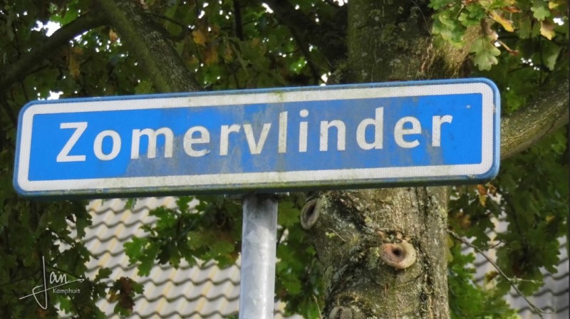 Zomervlinder straatnaambord.jpg