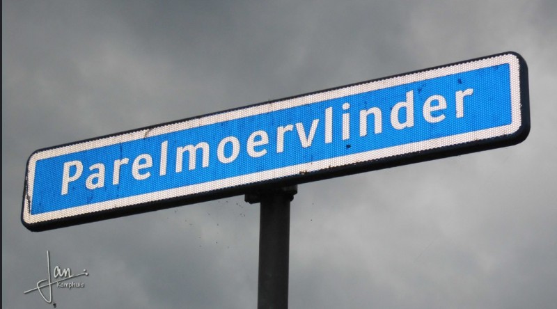 Parelmoervlinder straatnaambord.jpg