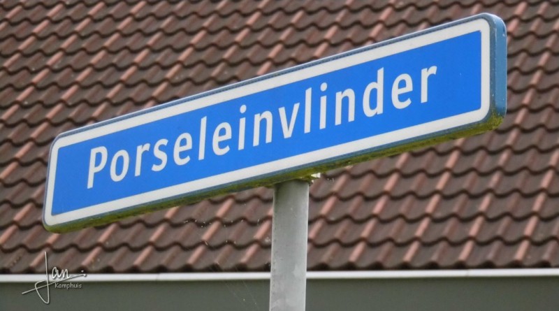 Porseleinvlinder straatnaambord.jpg