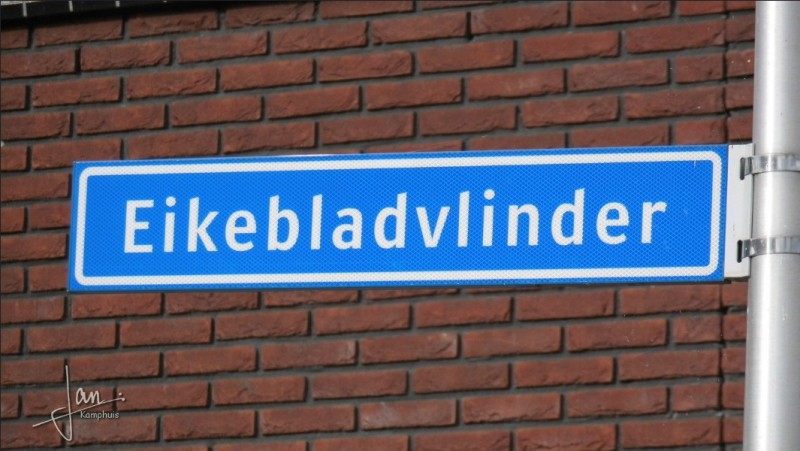 Eikebladvlinder straatnaambord.jpg