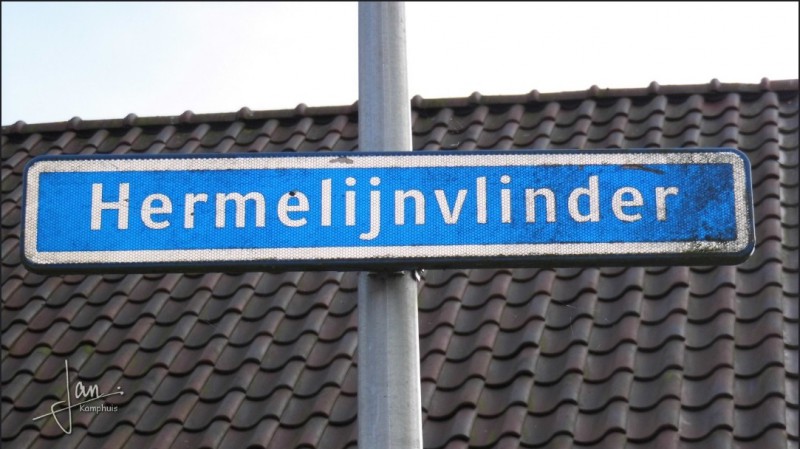 Hermelijnvlinder straatnaambord.jpg