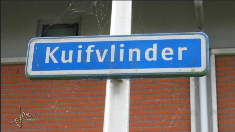 Kuifvlinder straatnaambord.jpg