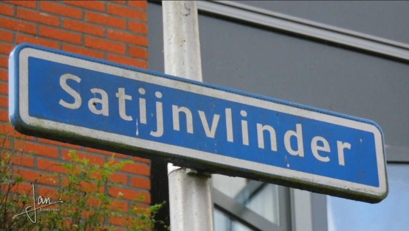 Satijnvlinder straatnaambord.jpg