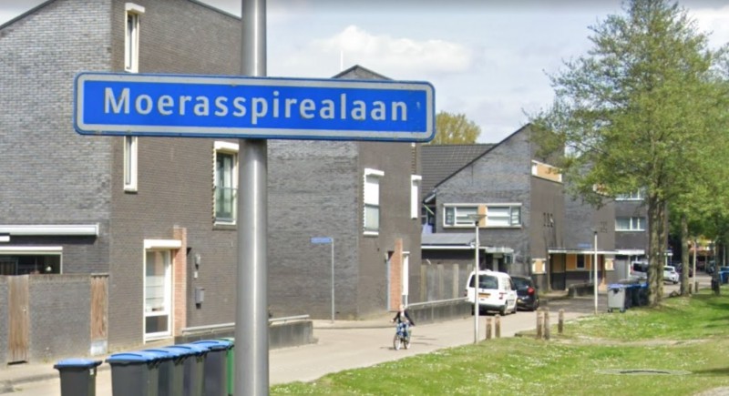 Moerasspirealaan straatnaambord.jpg