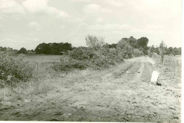 Horsterveldweg. Buitengebied..jpeg