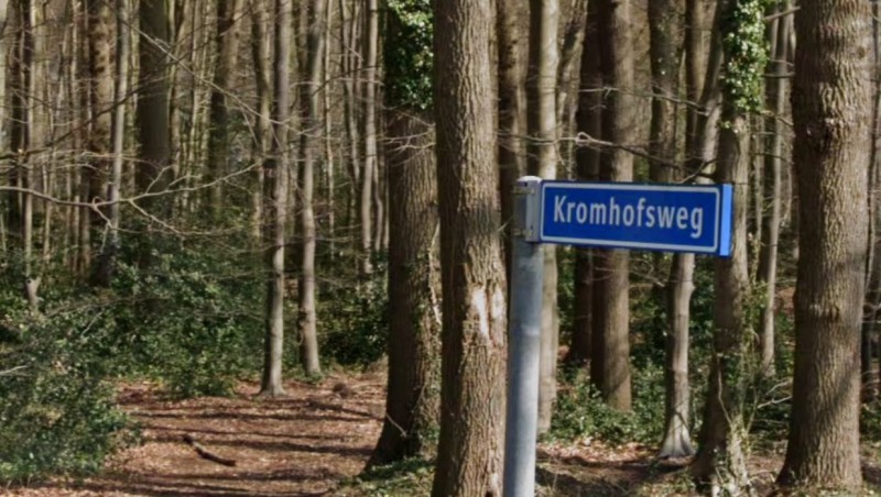 Kronhofsweg straatnaambord.jpg