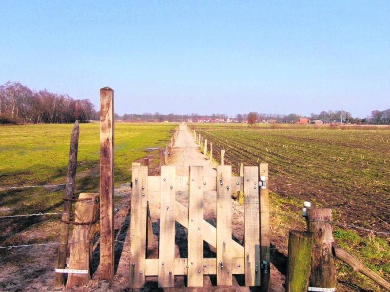 De gemeenteraad mag zich buigen over een nieuwe bestemming voor delen van De Eschmarke. Foto: Rikkert Harink