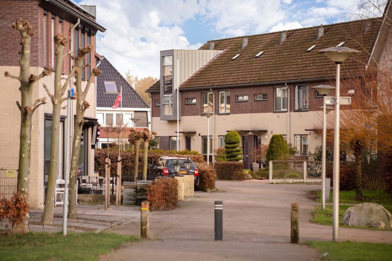 Berkenven 48.jpg