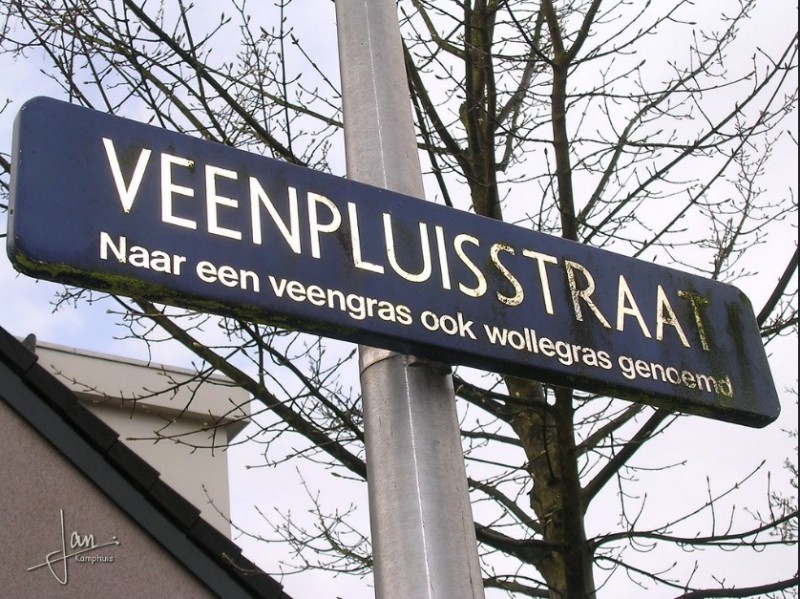 Veenpluisstraat straatnaambord.jpg