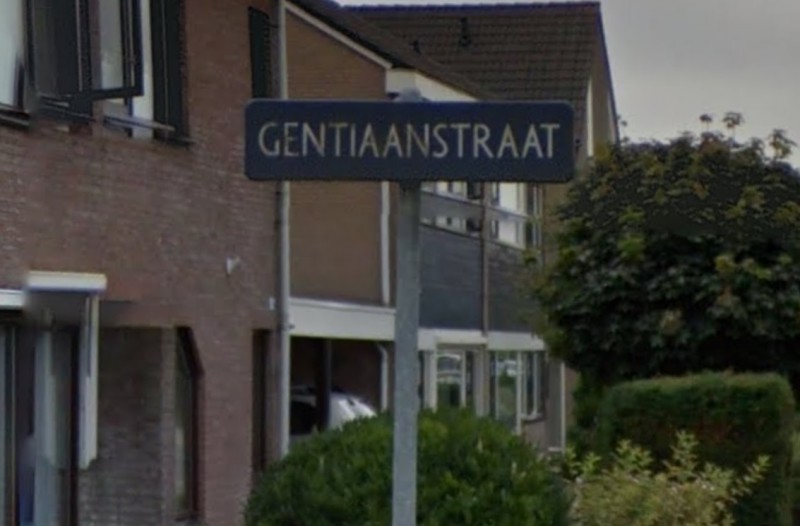 Gentiaanstraat straatnaambord.jpg