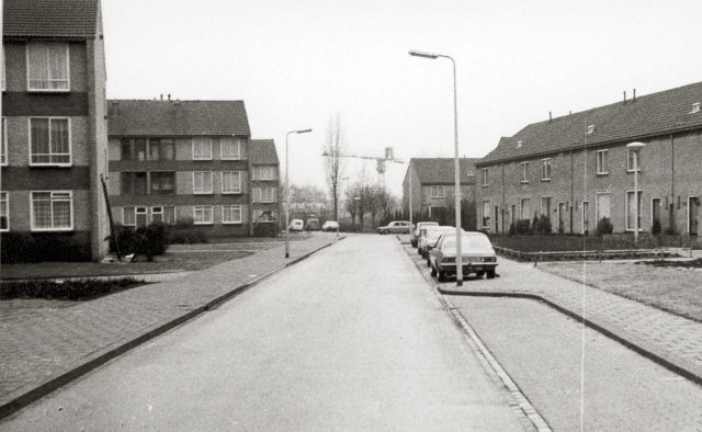 Shackletonstraat Flatwoningen en rijtjeswoningen.jpeg