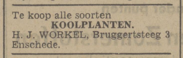 Bruggertsteeg 3 H.J. Workel advertentie Tubantia 14-6-1941.jpg